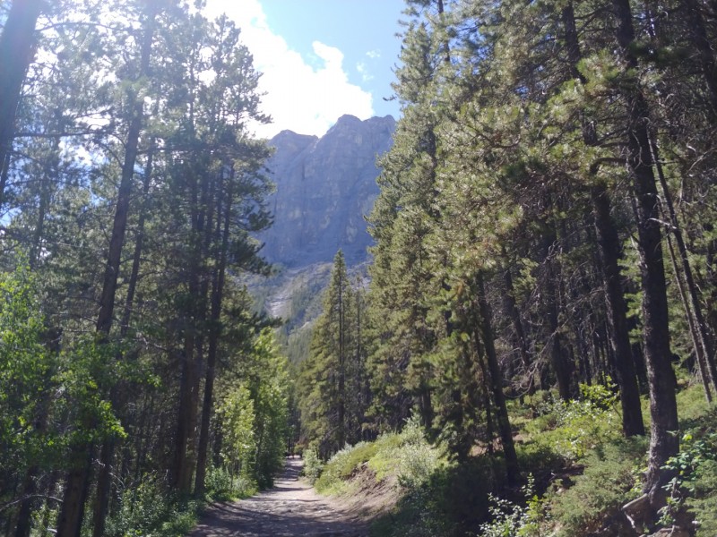 35e27ab544e30a786ada356baf2c708b_1574000